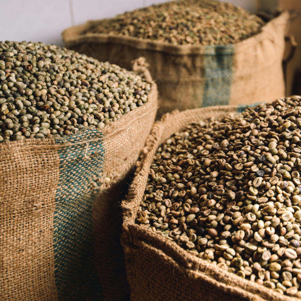 ☕Buti Specialty Microlot 17/18 | Classic